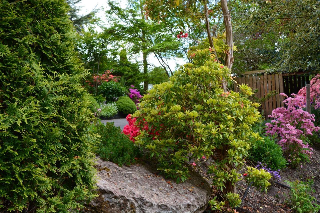The Grove Lodge Guesthouse Killorglin Exterior foto