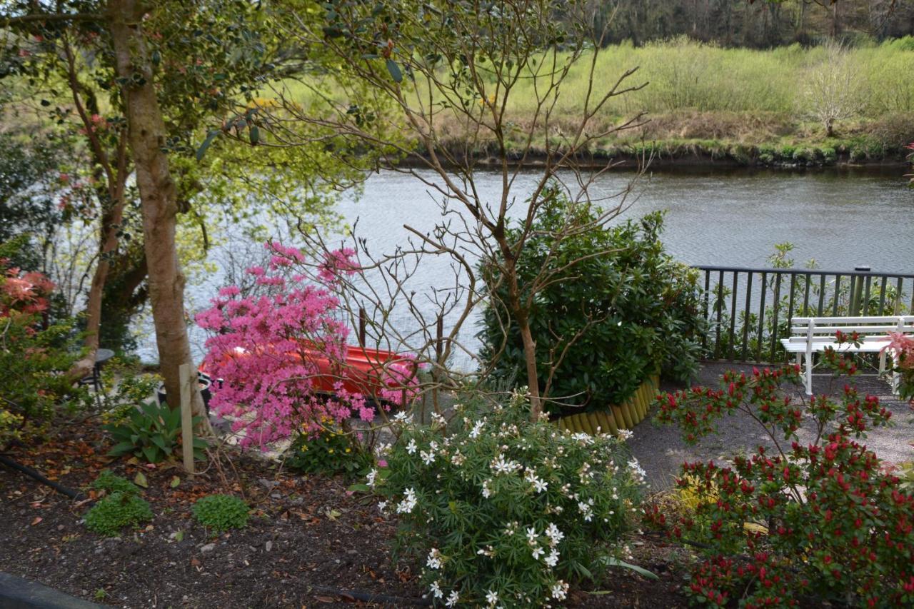 The Grove Lodge Guesthouse Killorglin Exterior foto
